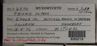 Image Associated With the Occurence